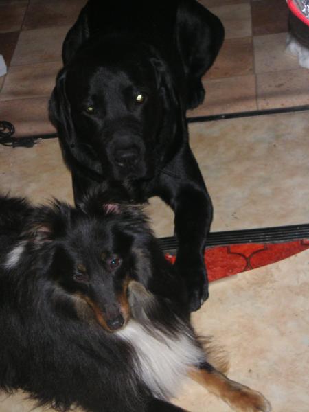 téo and pj
